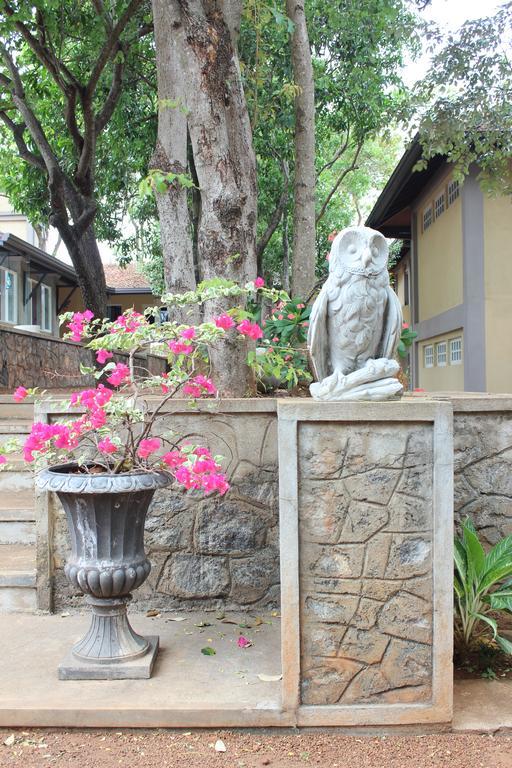 Lake Lodge Boutique Hotel Dambulla Dış mekan fotoğraf
