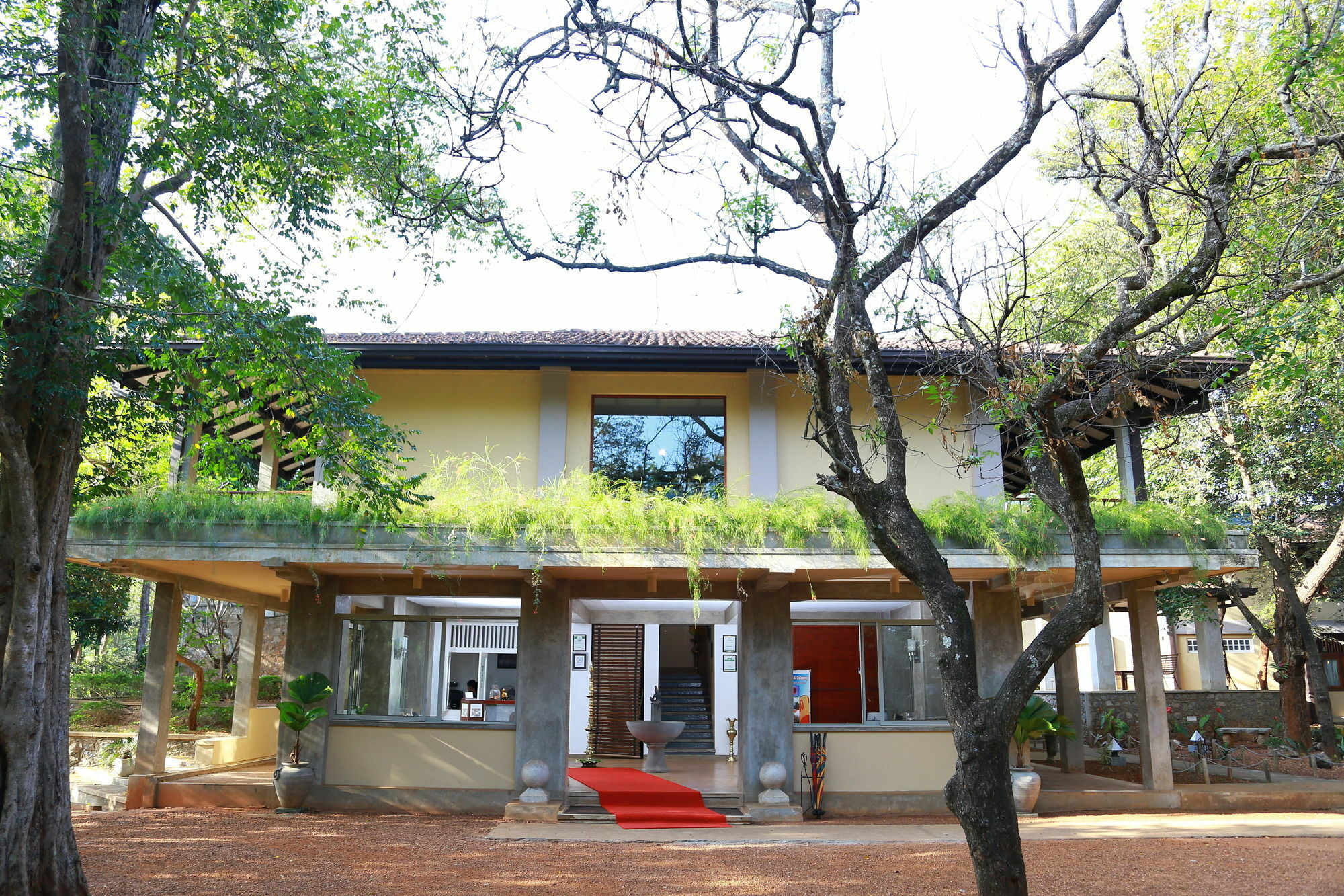 Lake Lodge Boutique Hotel Dambulla Dış mekan fotoğraf